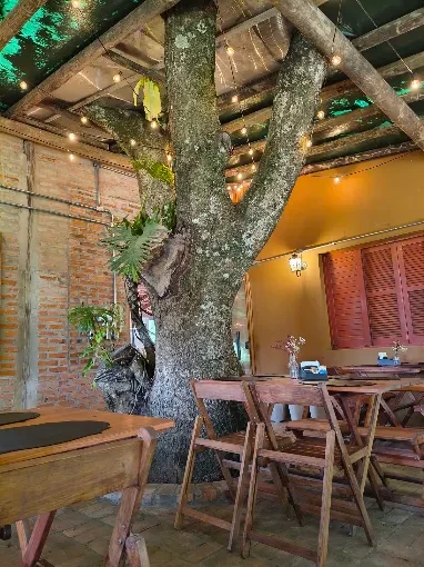 Salão do restaurante com a árvore nativa preservada no meio das mesas