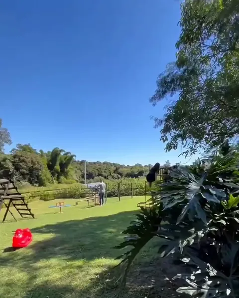 Gramado aberto sob céu azul, com brinquedos do parquinho ao fundo