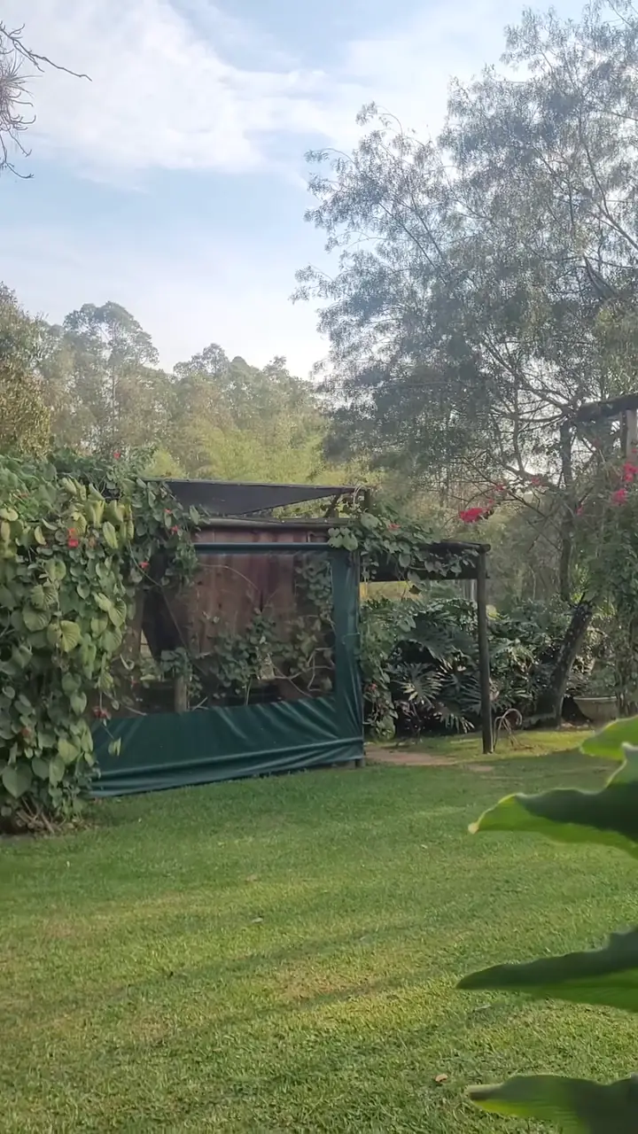 Gramado do sítio com um caramanchão coberto de trepadeiras e árvores altas ao fundo
